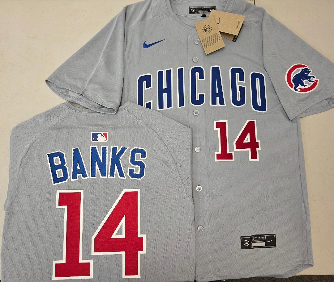 Nike Chicago Cubs ERNIE BANKS Vintage Baseball Jersey GRAY