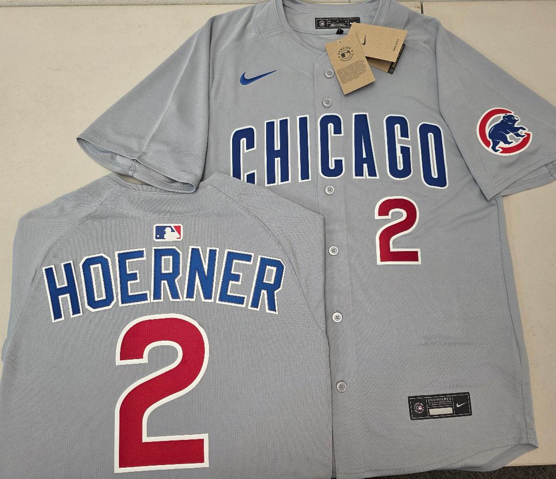 Nike Chicago Cubs NICO HOERNER SEWN Baseball Jersey GRAY